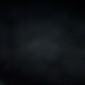 Meet your Posher, Eddison